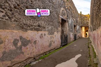 Niesamowite odkrycie w Pompejach. Naukowcy są zaskoczeni. Jest ich aż 79