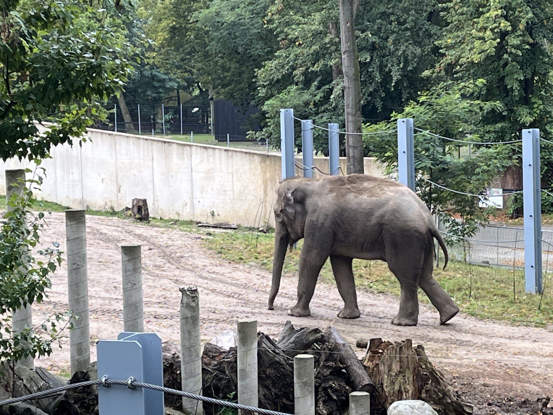 Orientarium w Łodzi