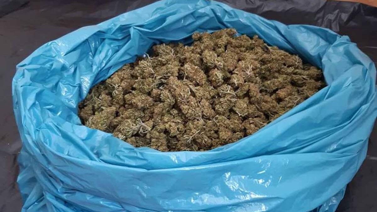 Marihuana w worku