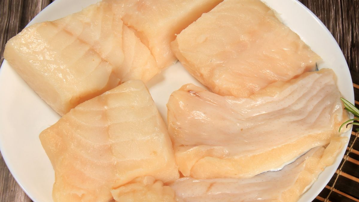 Zębacz smugowy to niedoceniana, ale smaczna ryba