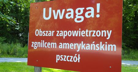 Groźna choroba w Rzeszowie i okolicach. Na ulicach pojawią się tablice