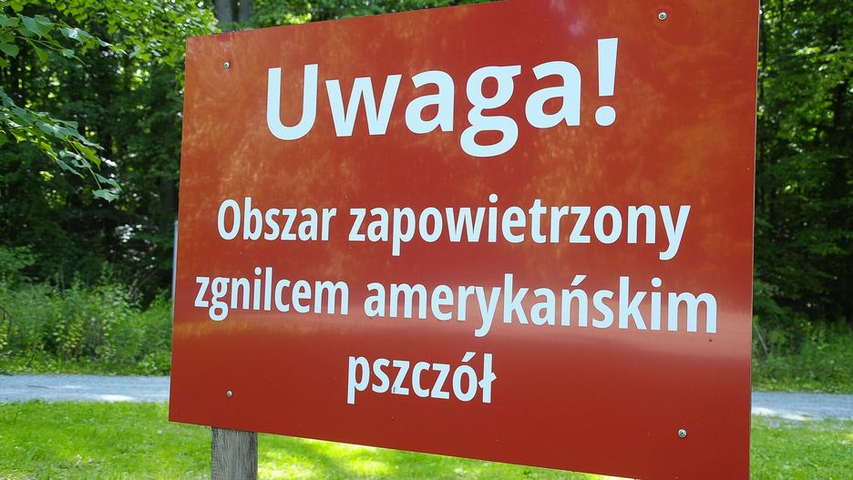 Zagrożenie w okolicach Rzeszowa (zdj. ilustracyjne)
