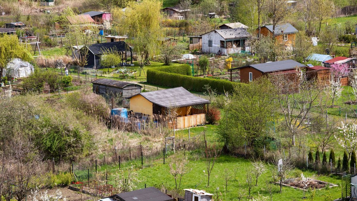 Działkowcy z Warszawy muszą oddać ziemię pod inwestycję. Decyduj