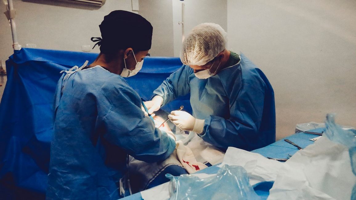 Przeszczep kości to zabieg uzupełniania ubytków kostnych, które najczęściej tworzą się w wyniku chorób niszczących kość.