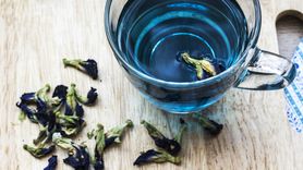 Właściwości Butterfly Pea Tea. Niezwykła niebieska herbata (WIDEO)