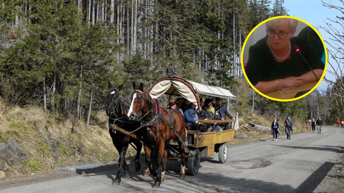 Spór o konie z Morskiego Oka