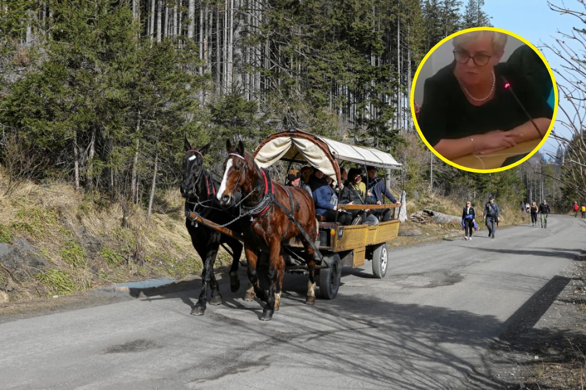 Awantura o konie z Morskiego Oka. Nawet posłanki jednej partii nie są zgodne