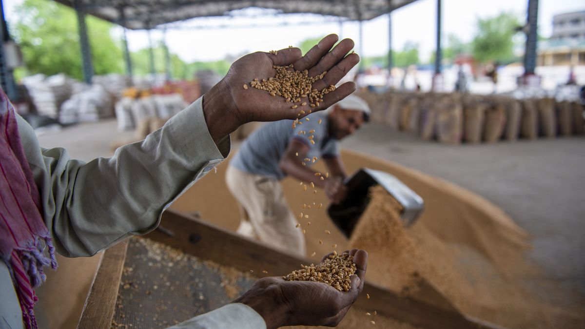 Przez wojnę w Ukrainie liczba głodujących na świecie może zwiększyć się o 18 mln osób 