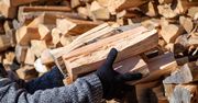 Ceny opału. Oto ile kosztuje metr drewna