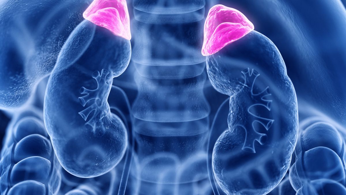 Wrodzony przerost nadnerczy to zespół schorzeń o podłożu genetycznym, który prowadzi do nieprawidłowego funkcjonowania tego gruczołu