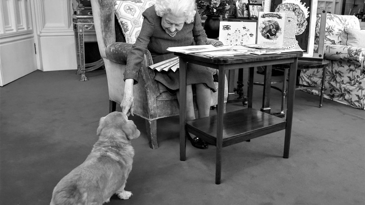 Królowa ze swoim psem o imieniu Candy 