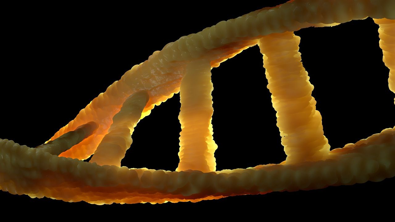 Koronawirus a geny. Nasze DNA może mieć znaczenie na sposób przechodzenia COVID-19