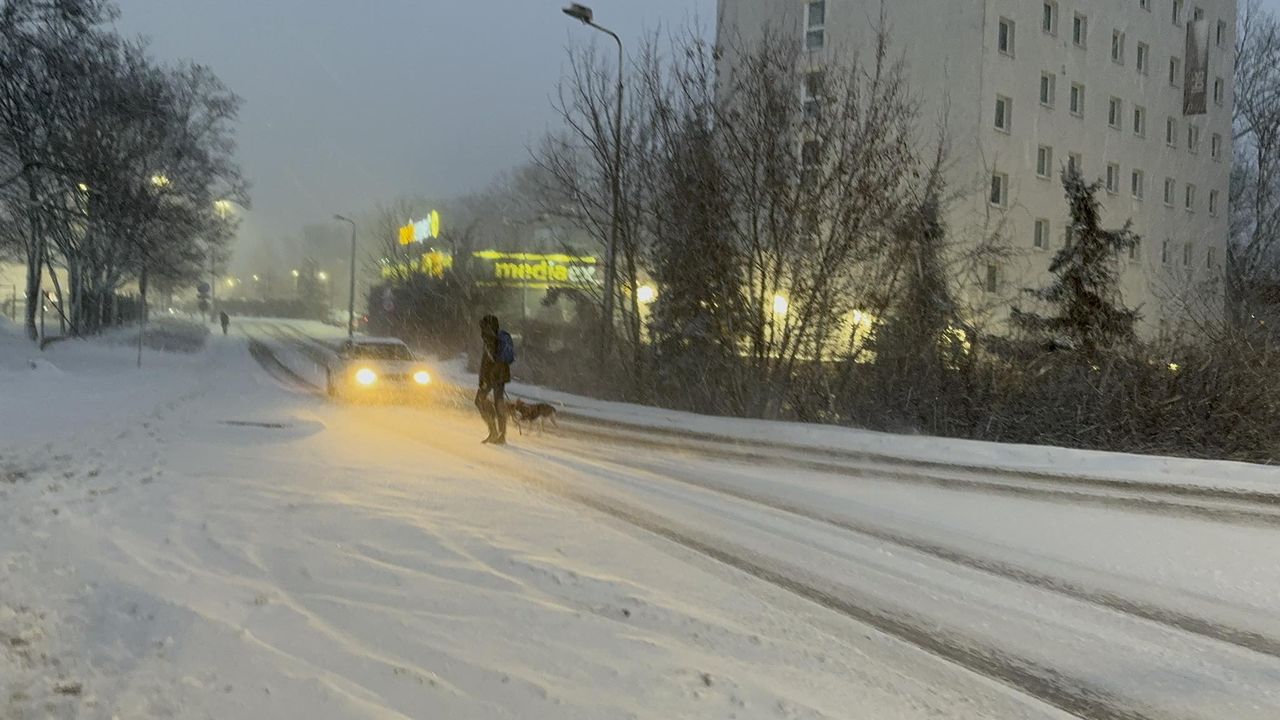 Śnieżyca w Warszawie