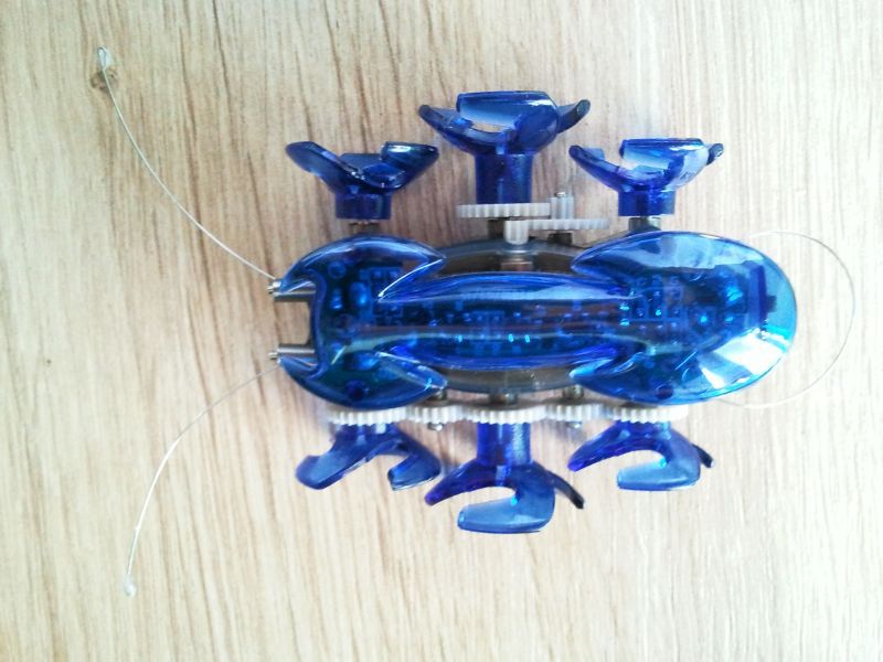Trzy roborobale HEXBUG - test i konkurs Gadżetomanii [wideo] 3