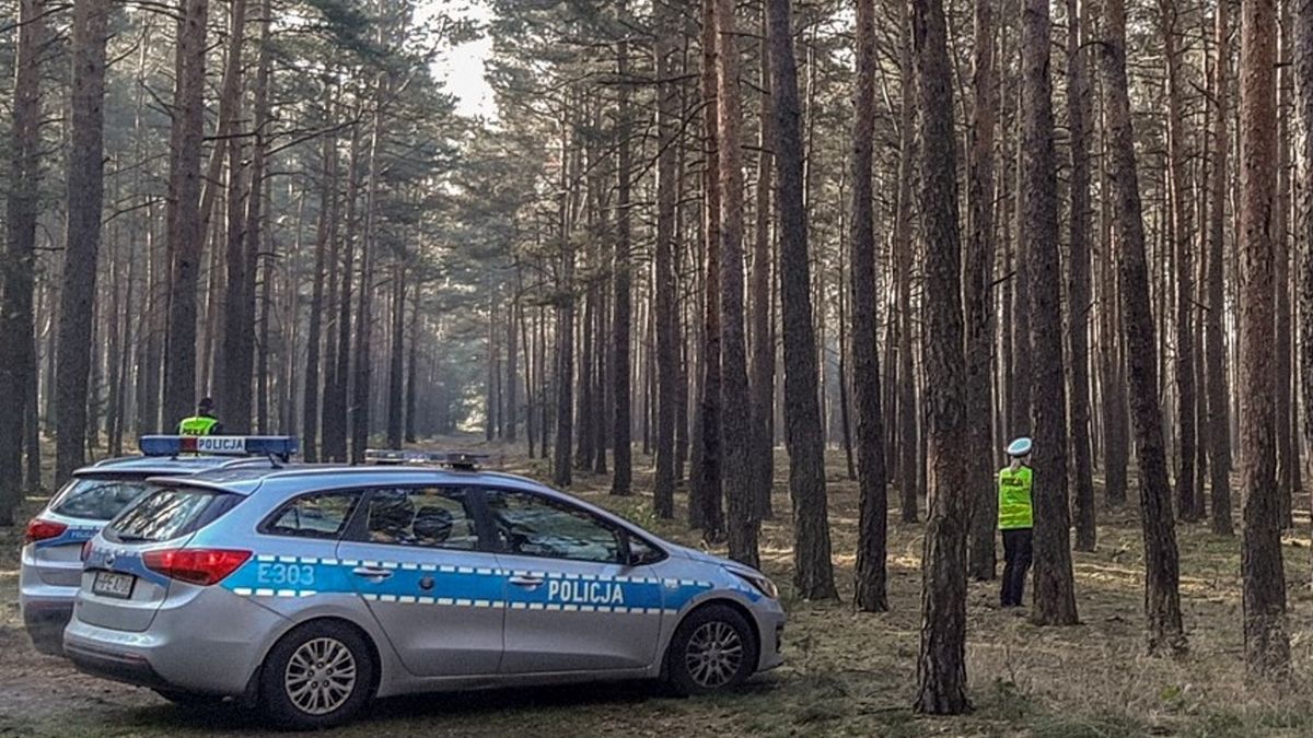 W lesie odnaleziono zwłoki (zdjęcie ilustracyjne)