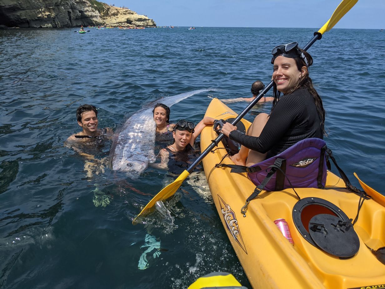 Rare fish found off the coast of San Diego