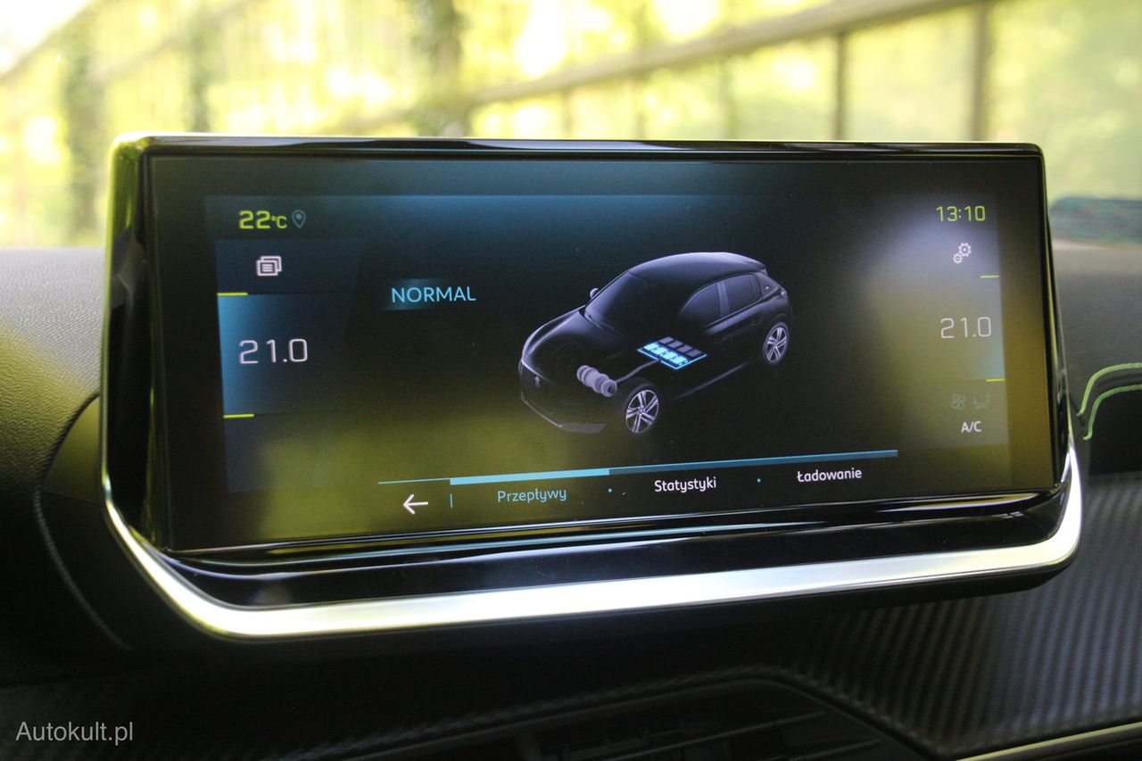 Podatek VAT a samochody elektryczne. Ministerstwo nie ma dobrych wieści