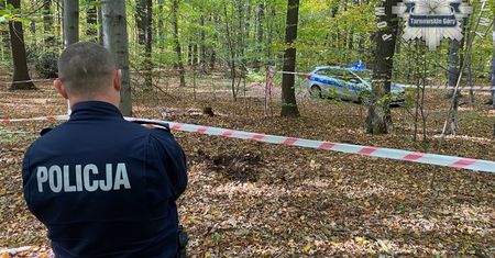 Chodził po parku z wykrywaczem metali. Nagle natrafił na coś dziwnego