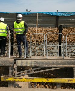 Zmowa dociska rolników? Urząd odpowiada ministrowi rolnictwa