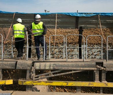 Zmowa dociska rolników? Urząd odpowiada ministrowi rolnictwa