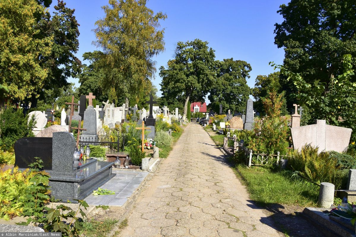 Płońsk. Makabryczne odkrycie na cmentarzu, znaleziono zwłoki noworodka  