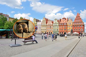 Turyści kochają to polskie miasto. Potężny problem pojawia się wieczorami