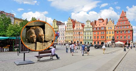 Turyści kochają to polskie miasto. Potężny problem pojawia się wieczorami