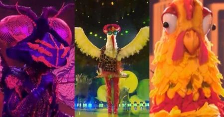 Mask Singer. Widzowie JUŻ WIEDZĄ, kto kryje się w przebraniach Ważki, Deszczu, Bociana i Koguta