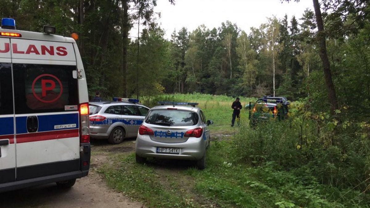 Zdjęcie ilustracyjne. 