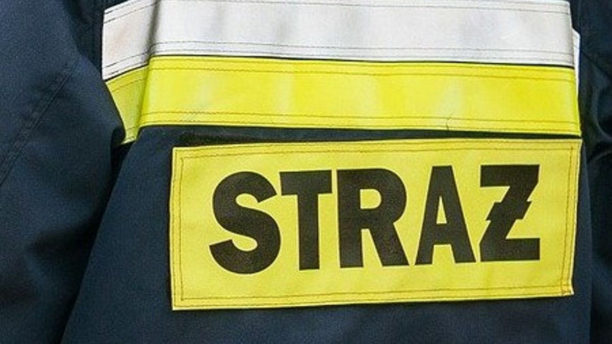 Strażacy zostali wezwani do nietypowego pożaru