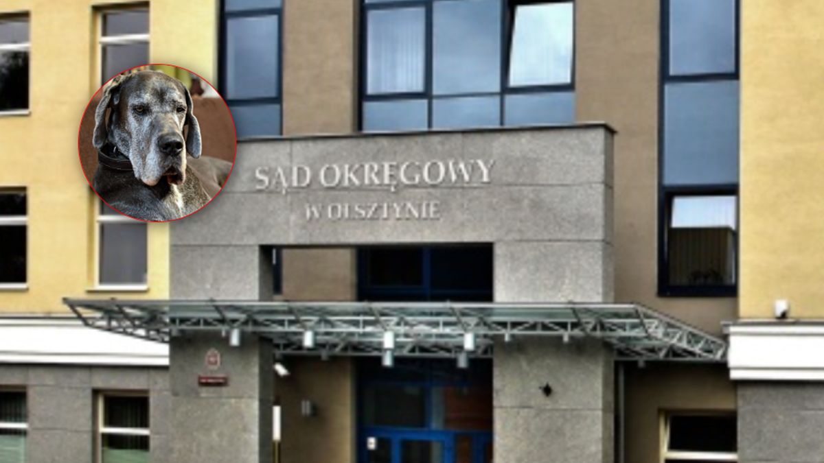 Sprawa Natalki trafiła do sądu w Olsztynie.