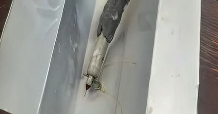 "Pomoc humanitarna" od Rosjan. Kobieta pokazała, co jej dali