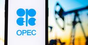 Zmiana cen ropy. Inwestorzy obawiają się decyzji OPEC+. Kierowców może ucieszyć
