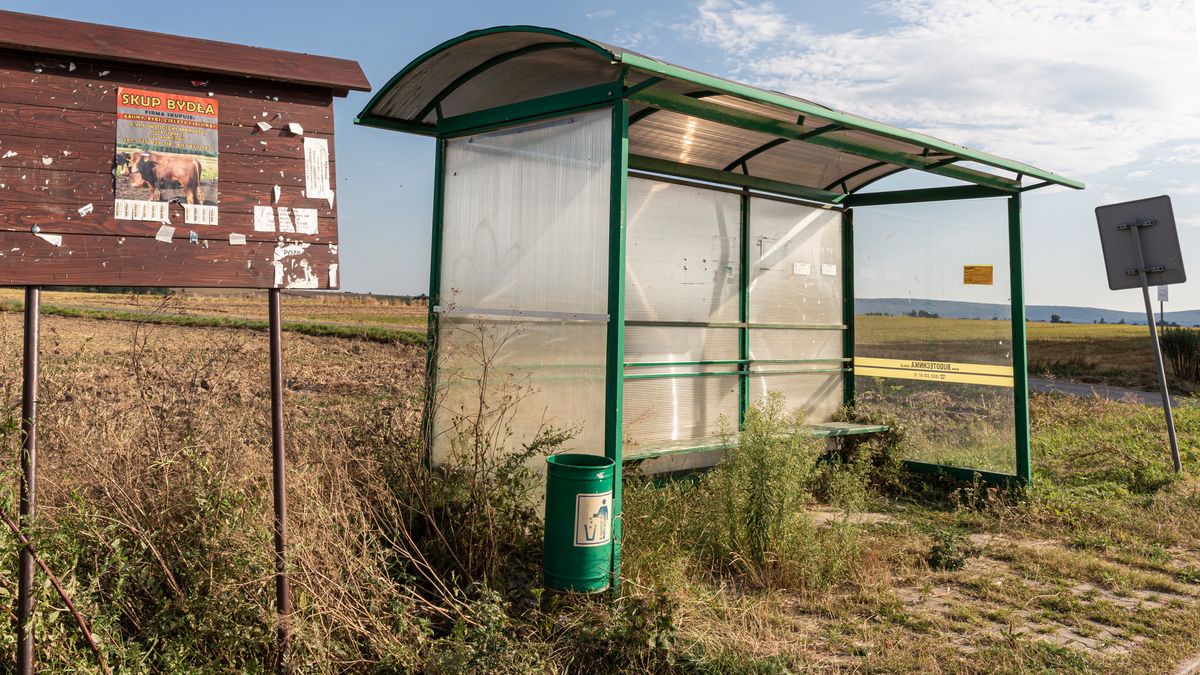 Centralizacja transportu publicznego