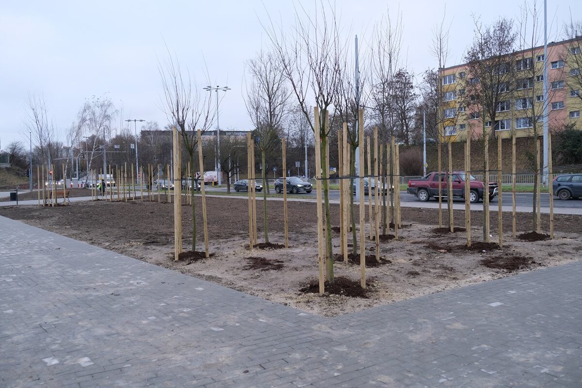 Skwer przed sklepem Aldi przy ul. Gospodarczej w Lublinie