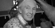 Jane Goodall nie żyje. Legendarna prymatolożka była autorytetem dla wielu