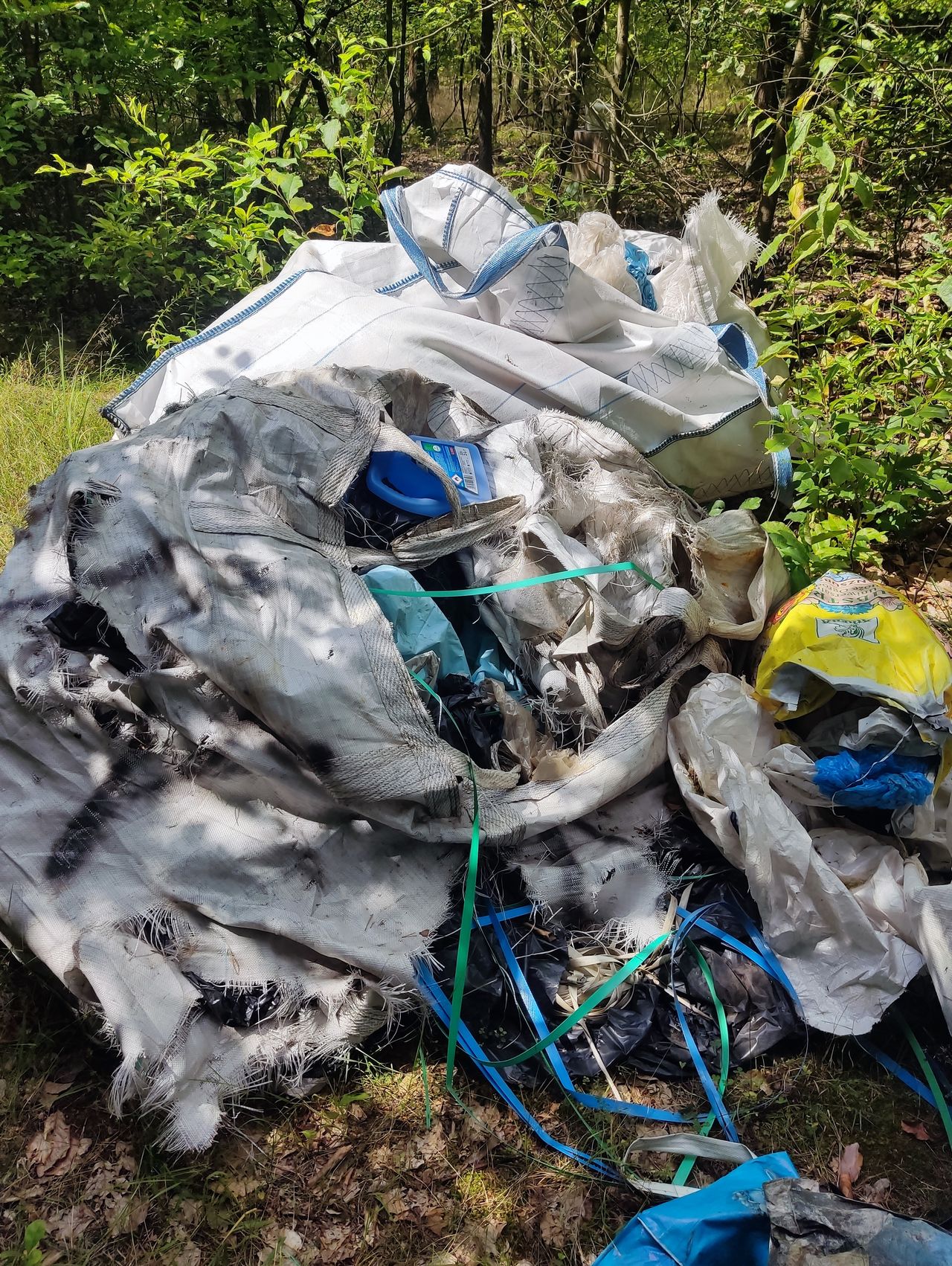 W lasach zdarzają się prawdziwe śmietniska