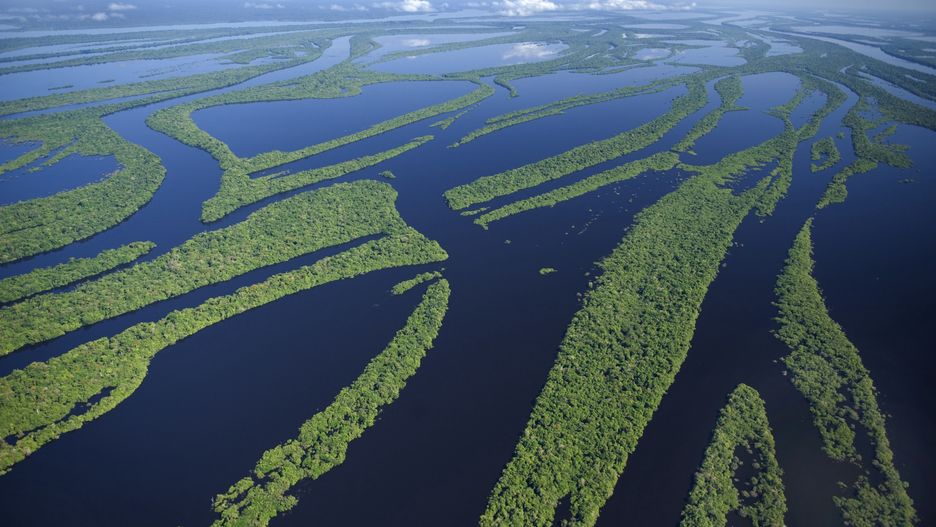 Rio Negro to największy lewy dopływ Amazonki w Brazylii