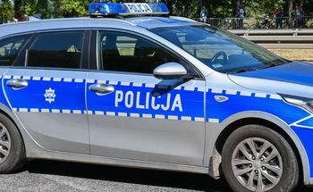 Mężczyzna trzyma w ogródku lwy i tygrysa. Usłyszał zarzuty