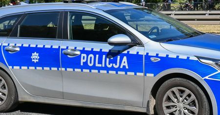Mężczyzna trzyma w ogródku lwy i tygrysa. Usłyszał zarzuty