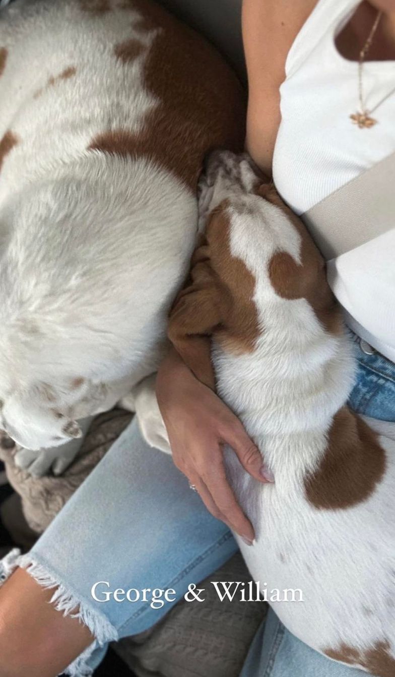 Nowy członek Gangu Majdana - William