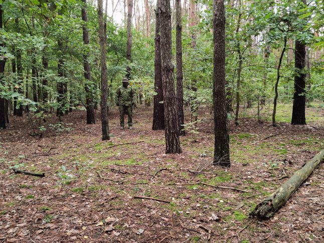 Kamuflaż PenCott Wildwood, lokalizacja piąta