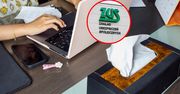 Rozmowa o pracę na L4? ZUS może zażądać zwrotu pieniędzy