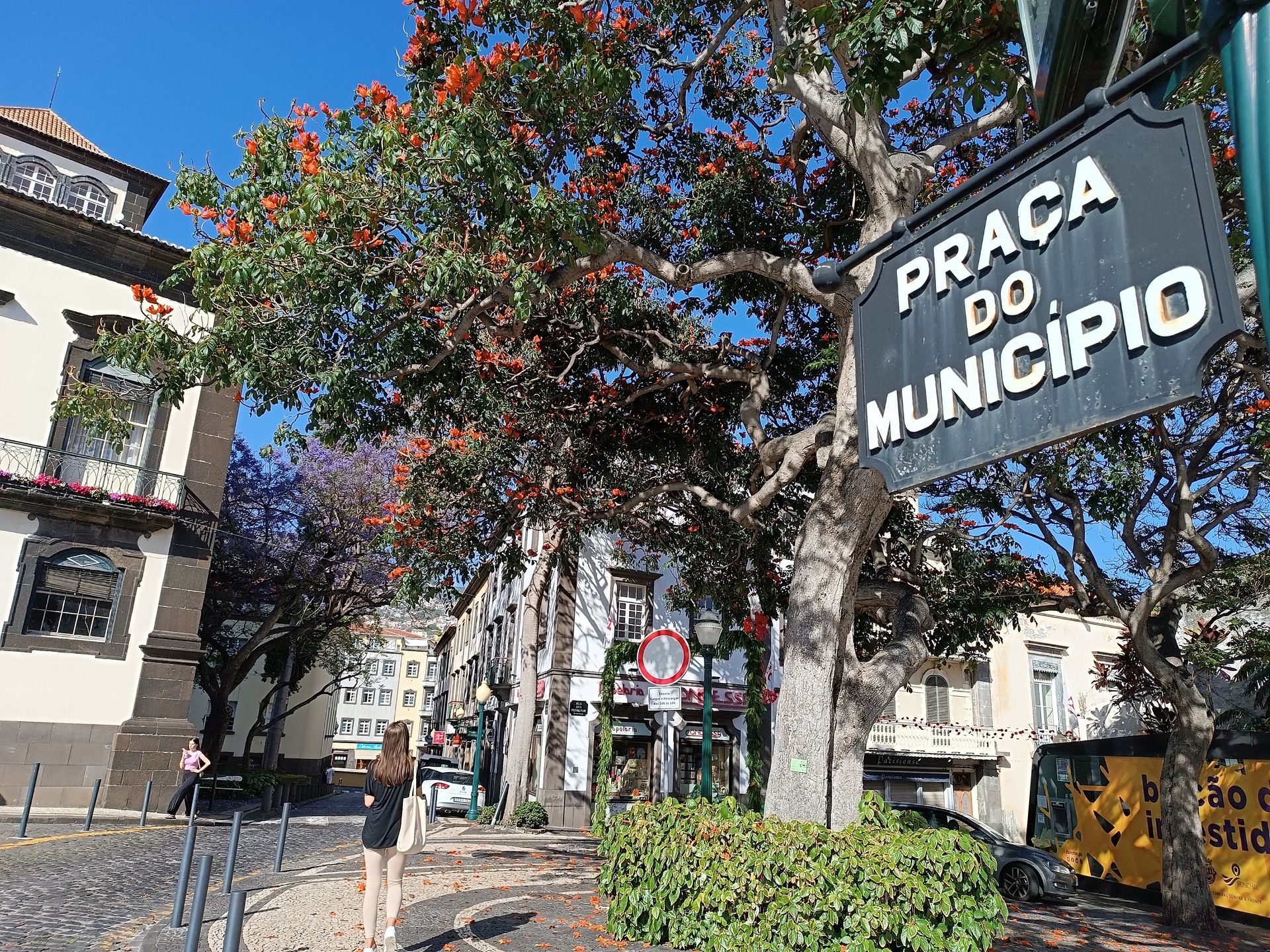 Funchal: Na każdym kroku tysiące kwiatów i roślin