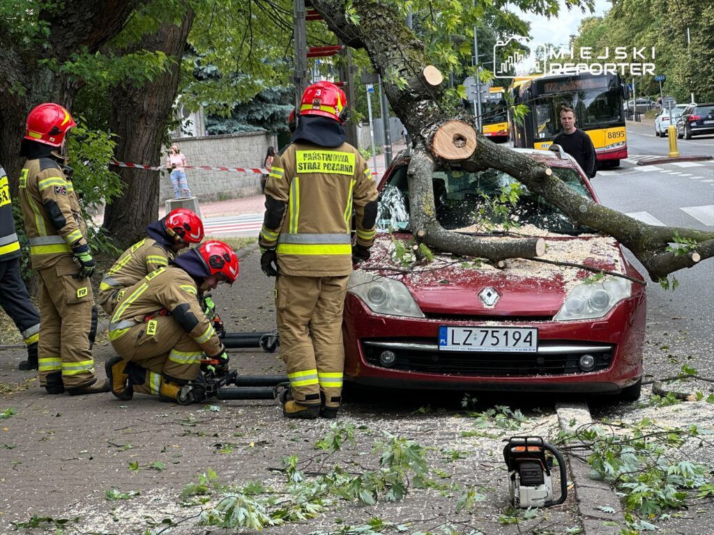 Złamany konar zablokował ruch na Ochocie. Spadł na trzy pojazdy, w tym miejski autobus