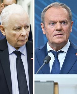 PiS na "żelaznej podłodze". Jest najnowszy sondaż partyjny