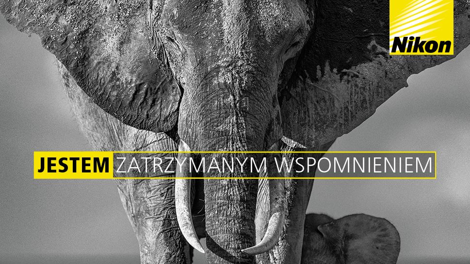 Nikon ogłasza promocję cashback na wybrane aparaty i obiektywy 1