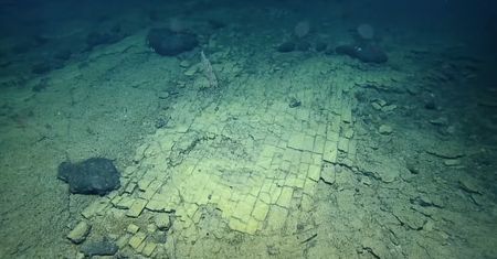 "Droga do Atlantydy" na dnie oceanu. Zaskakujące odkrycie