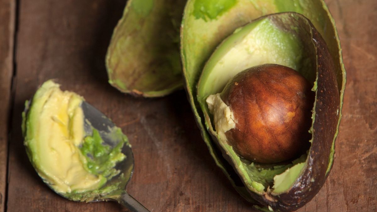 Wyrzucasz pestkę z awokado? Zobacz, co możesz z nią zrobić 