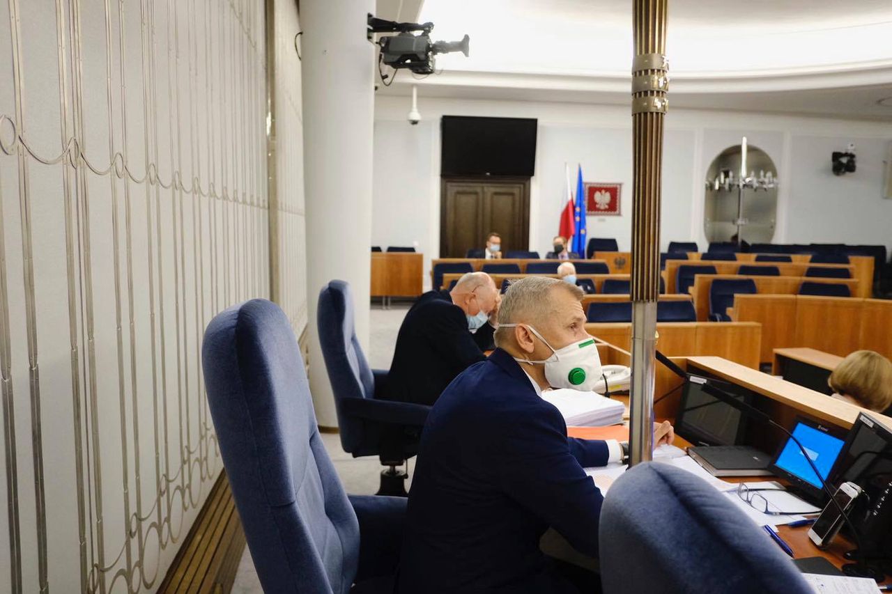 "Piątka dla zwierząt'. Senat rozpatruje nowelizację ustawy o ochronie zwierząt